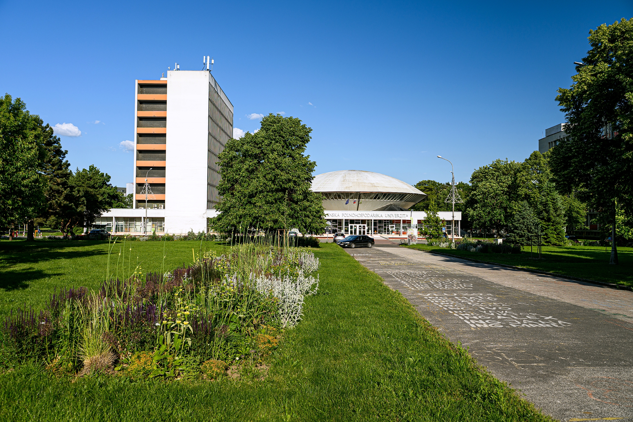 DSC_3961M.jpg